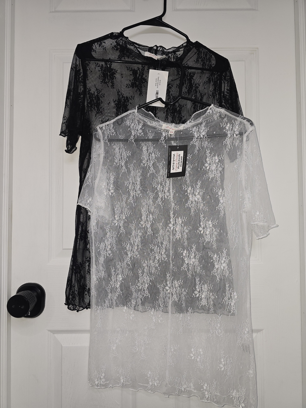 Sheer Floral Lace Short Sleeve Top - Black & White